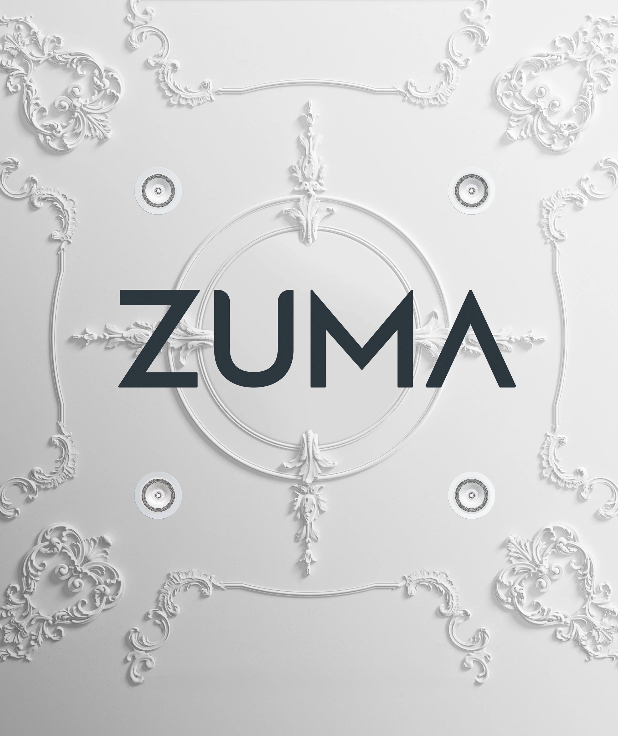 ZUMA Luminaire Light ONLY with Supernova R Bezel - Image 4